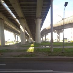 Подробнее об объявлении «Санкт-Петербург Найдена собака вижу потерявшуюся собаку» Фото: найдена собака  «Санкт-Петербург Найдена собака вижу...» в г. Санкт-Петербург