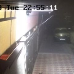 Подробнее об объявлении «Найдена собака кобель Ессентуки» Фото: найдена собака  «Найдена собака кобель Ессентуки» в г. Ессентуки