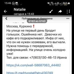 Подробнее об объявлении «Найдена собака помогите найти хозяина Москва» Фото: найдена собака Китайская хохлатая собака «Найдена собака помогите найти хозяина Москва» в г. Москва