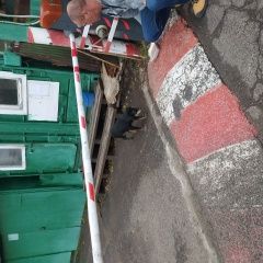 Подробнее об объявлении «Найдена собака ягдтерьер, м. отрадное Москва» Фото: найдена собака Ягд-терьер «Найдена собака ягдтерьер, м. отрадное Москва» в г. Москва