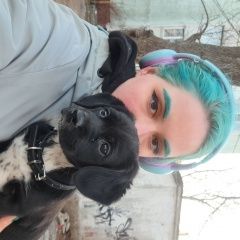 Подробнее об объявлении «Найдена собака Владивосток» Фото: найдена собака  «Найдена собака Владивосток» в г. Владивосток