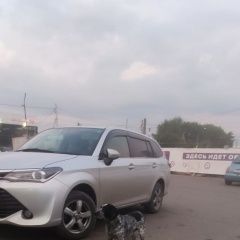 Подробнее об объявлении «Красноярск Найдена собака кобель» Фото: найдена собака  «Красноярск Найдена собака кобель» в г. Красноярск