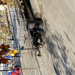 Подробнее об объявлении «Найдена собака парк горького Москва» Фото: найдена собака Шотландский сеттер (гордон) «Найдена собака парк горького Москва» в г. Москва