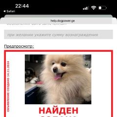 Подробнее об объявлении «Тбилиси Найдена собака кобель» Фото: найдена собака Померанский шпиц «Тбилиси Найдена собака кобель» в г. Тбилиси
