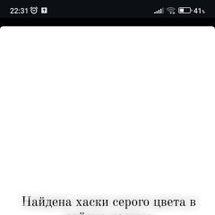 Подробнее об объявлении «Найдена собака просьба отписаться хозяину Тирасполь» Фото: найдена собака  «Найдена собака просьба отписаться хозяину...» в г. Тирасполь