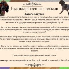 Подробнее об объявлении «Краснодар Найдена собака» Фото: найдена собака Русский охотничий спаниель «Краснодар Найдена собака» в г. Краснодар