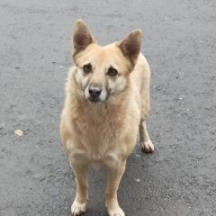 :       ( .)  .  ( .)