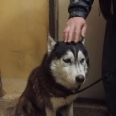 :        .  ...  . --