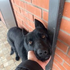 :             ...  . 