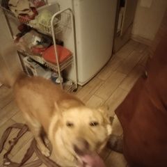 ����: ������� ������  ���������� ������� ������.� � �. ���������