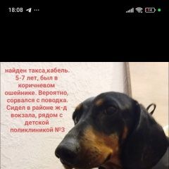 ����: ������� ������ ����� ������� ������� ������ ������ ����� ����� � �. ������