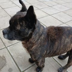 ����: ������� ������  �������� ������ ������ ������ � �. ������