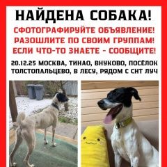 ����: ������� ������  ������� ������� ������ ������� � �. ������