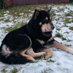 ����: ������� ������  ����������� ������� ������ ������� � �. ����������