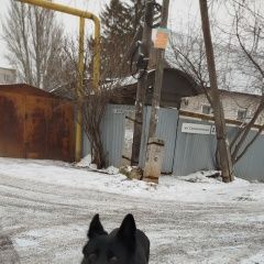 ����: ������� ������ �������� ������� ������� ������� ������ � �. ������