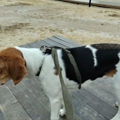 ����: ������� ������ ������ �������� ������� ������ ������ ������� ����� ������� � �. �������