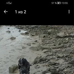 ����: ������� ������  �������� ������ ������-��-���� � �. ������-��-����