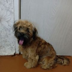 ����: ������� ������  ������� ������� ������ � �. ������