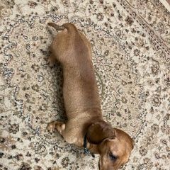 ����: ������� ������ ����� ������������ ������� ������ ������� � �. �����������