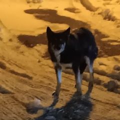 ����: ������� ������  �������� ������ ������� � �. ������