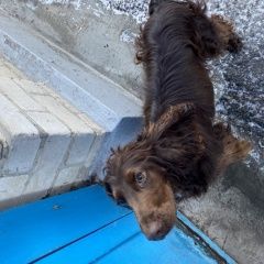 ����: ������� ������  ���������� ������� ������ ������� � �. ���������