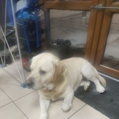 ����: ������� ������ �������� �������� ������������ ������� ������ �������� � ��������� � �. �����������