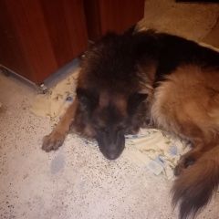 ����: ������� ������ �������� ������� �������� ������ ������� �������� ������ � �. ������