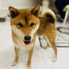 ����: ������� ������  ���������� ������� ������ ������ ������ ����-��� � �. ���������