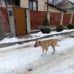 ����: ������� ������  �������� ������� ������ ������ �������� ��������� � �. �������