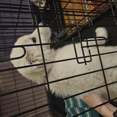 ����: ������� ������  ������� ������� ������ ������� � �. ������