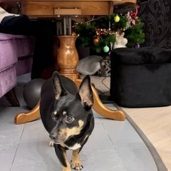 ����: ������� ������  �������� ������ ������ � �. ������