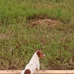 ����: ������� ������ ���� ������ ������ �������� ������ ������ ������ � ����������� ����...� � �. ������