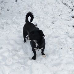 ����: ������� ������  �������-��-���� ������� ������ � �. ������-��-����