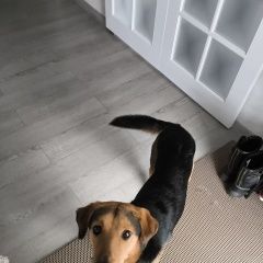 ����: ������� ������  �������� ������ ������ ��������� � �. ��������