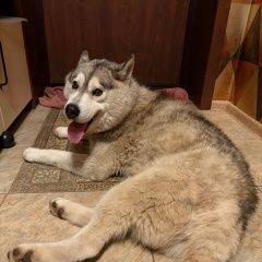 ����: ������� ������ ��������� ����� ������� ������� ������ ������ �����, �������,...� � �. ������