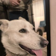 ����: ������� ������  �������� ������, �������. �����-��������� � �. �����-���������