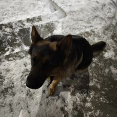 ����: ������� ������ ���������� ������� �������� ������ ������� �������� ����� ������...� � �. ���������