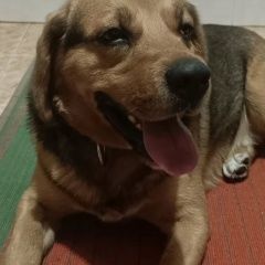 ����: ������� ������  �������� ������ ������ 3. 01, ������ � �. ������