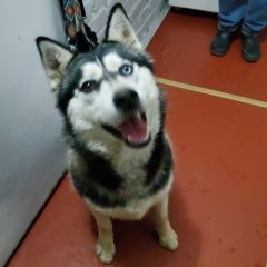 ����: ������� ������ ���������� ������ �������� ������ ������-��-���� � �. ������-��-����