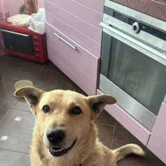 ����: ������� ������  �������� ������ ������ ������ � �. ������