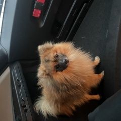 ����: ������� ������ ����������� ���� �������� ����� ������� ������ � �. ������� �����