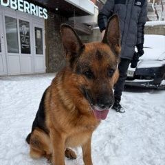 ����: ������� ������ �������� ������� �������� ������ ������ �������� ������� ������� � �. �������