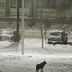 ����: ������� ������  ���������� ������� ������ ���� ��� ����� �� 1...� � �. ���������