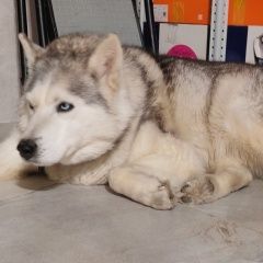 ����: ������� ������  �������-��-���� ������� ������ � �. ������-��-����