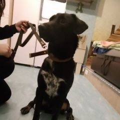 ����: ������� ������  �������� ������ ������ ������ ����� � �. ������ �����