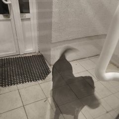 ����: ������� ������  ������ ������� ������ ������� � �. �����