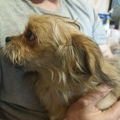 ����: ������� ������  ������������ ������� ������ � �. �����������