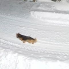 ����: ������� ������ �������� ������� ����� ������� ������ ������ ������ �� ������� � �. ����