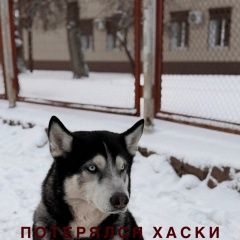 ����: ������� ������ ��������� ����� �������� ������� ������ ������� � �. �������