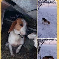 ����: ������� ������ ����� �������� ������ ���������� �����, �������...� � �. �������